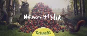 Driscoll's